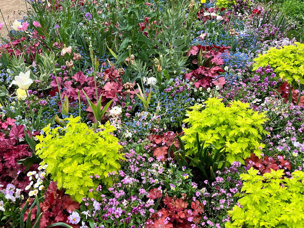 23-05-16 11-54-13 5393